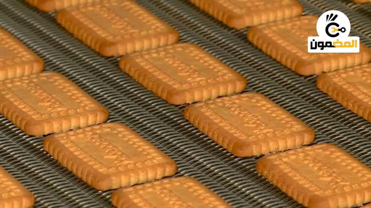 Biscuits Factory Equipment
